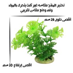 نباتات-زينة-لحوض-السمك